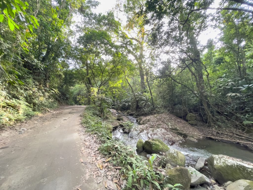 Sentier de Minca en Colombie