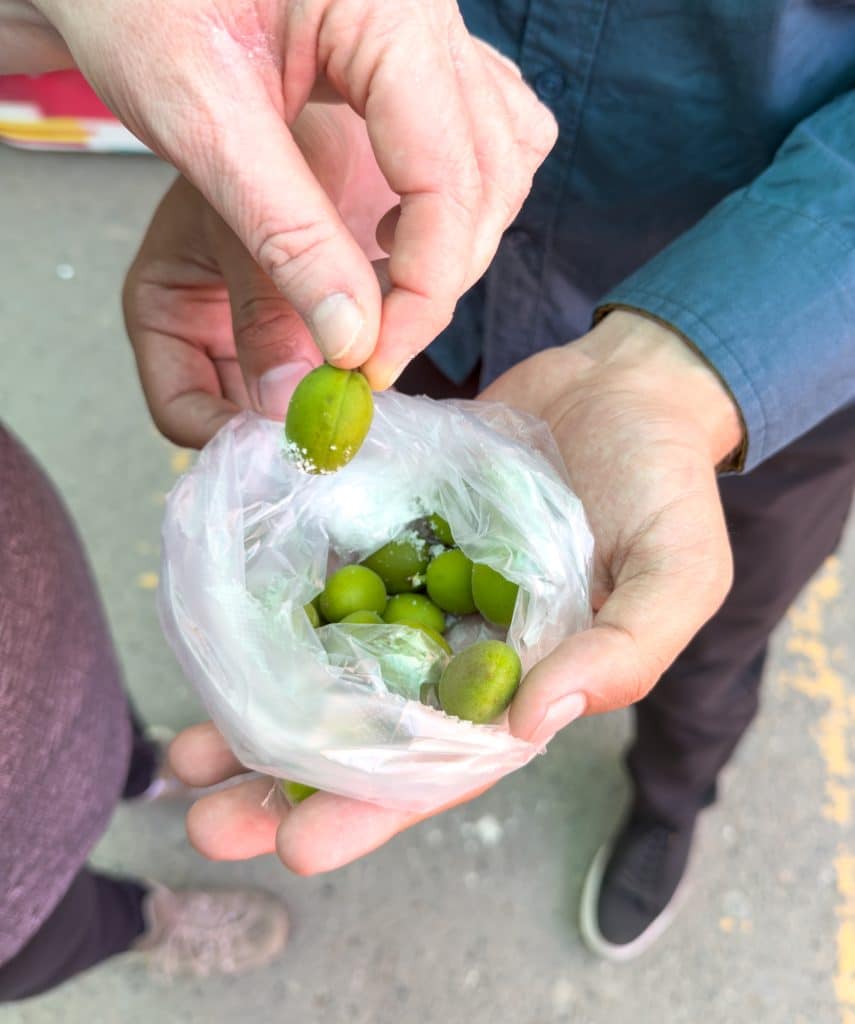 dégustation d'amandes vertes en Ouzbékistan