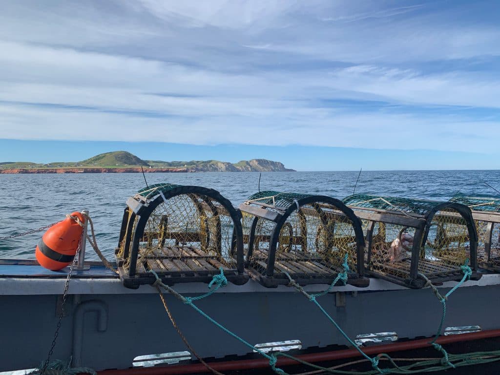 Casier de pêche au homard - Bateau d'Interprétation pêche en mer