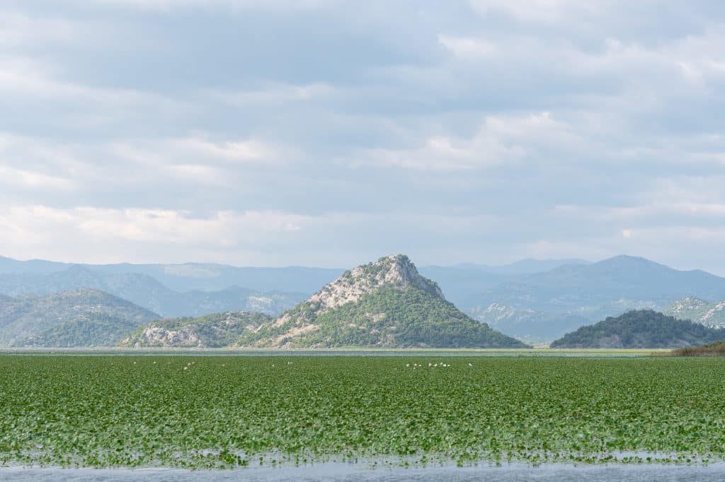 Montagnes et lac de Skadar
