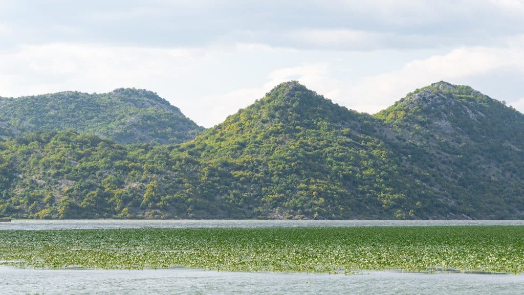 Montagnes du lac de Skadar