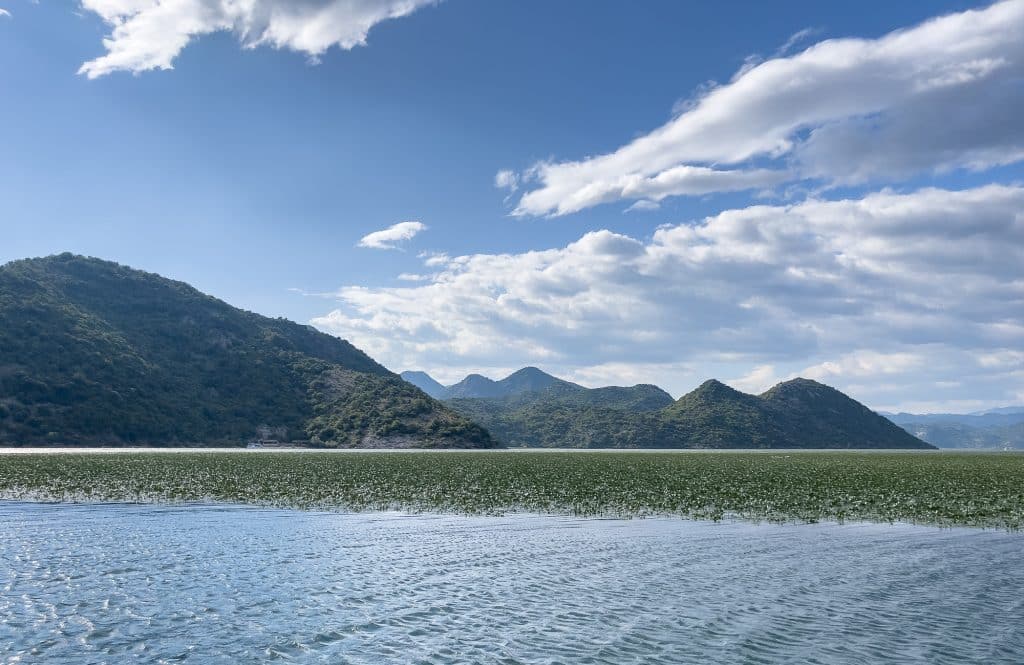 Montagnes pointues au lac de Skadar