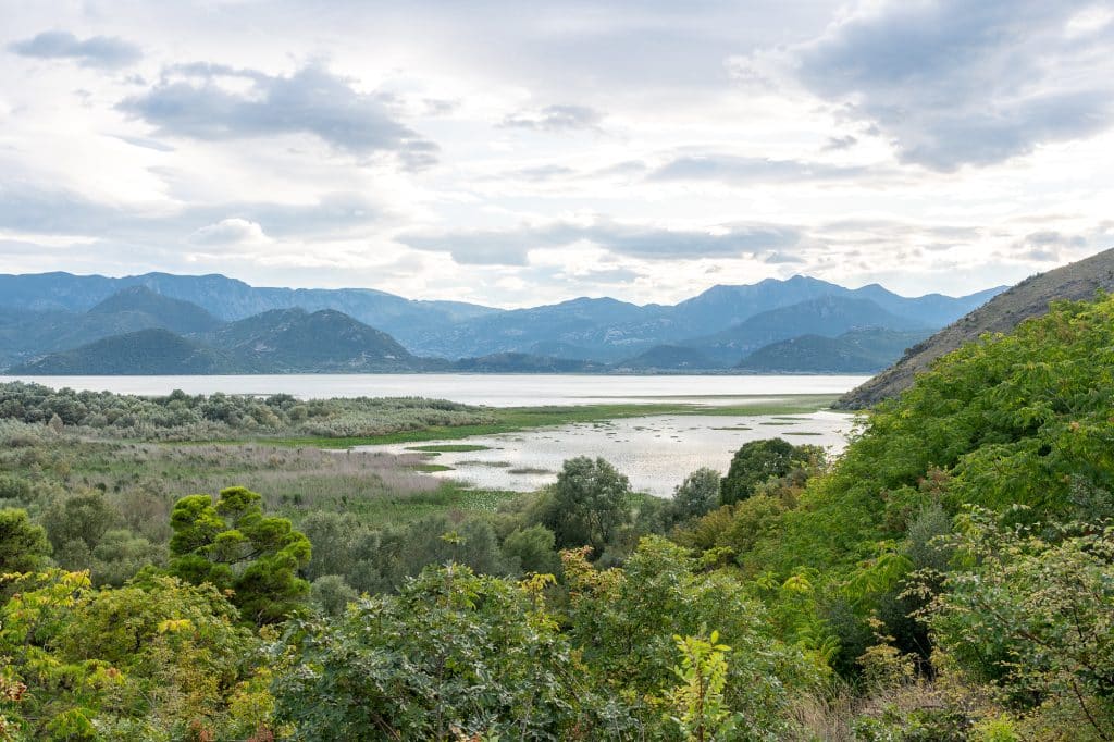 Vue de l'île dans le lac de Skadar