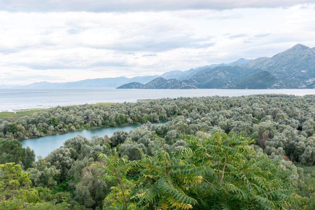 Vue verdoyante en 48 heures à Virpazar