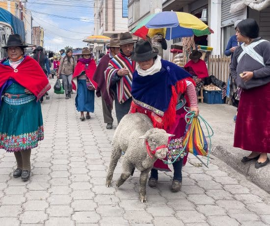 Dame avec un mouton au marché en Équateur