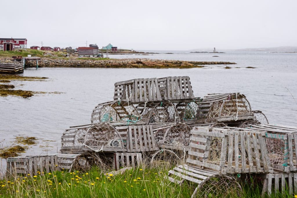 Casiers à homard à Fogo, Terre-Neuve-et-Labrador