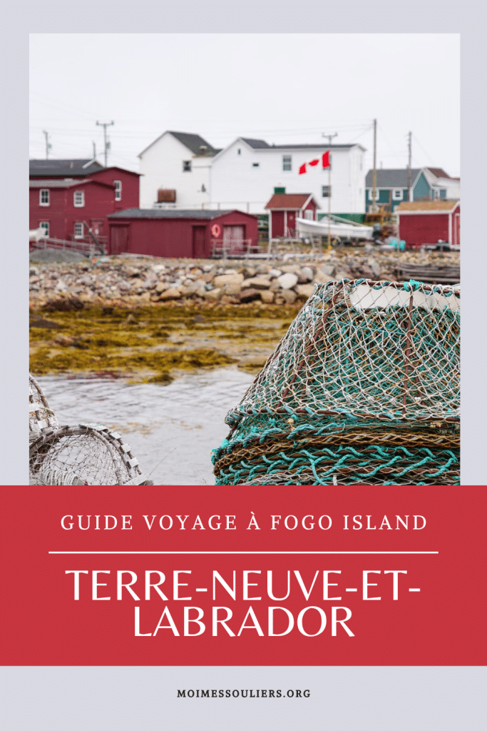 Quoi faire à Fogo Island à Terre-Neuve-et-Labrador?