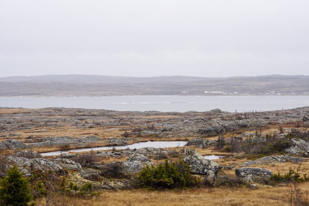 Paysage de l'île Fogo