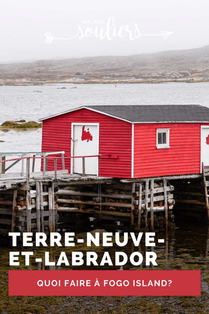 Quoi faire à Fogo Island à Terre-Neuve-et-Labrador?